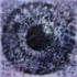 Avatar gebruiker