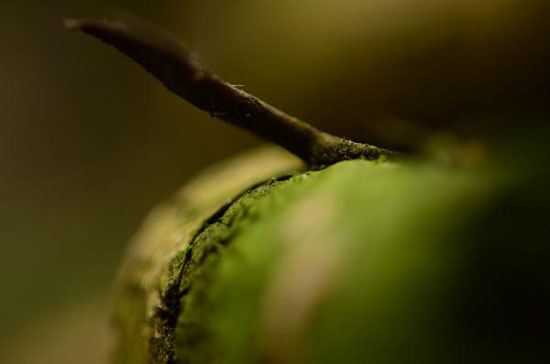 It's not an apple.JPG