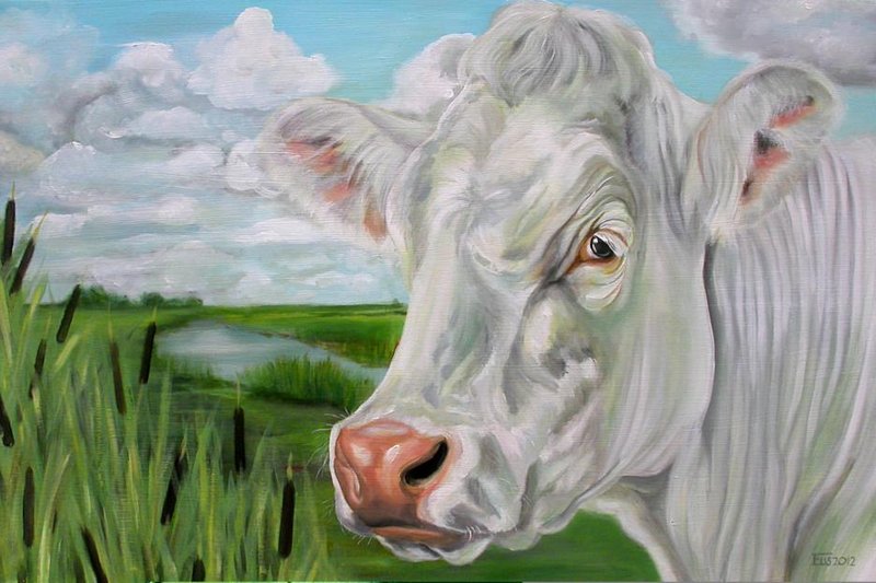 Cow of Nature_936x624.jpg