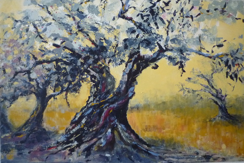 olijfboom korenveld.JPG