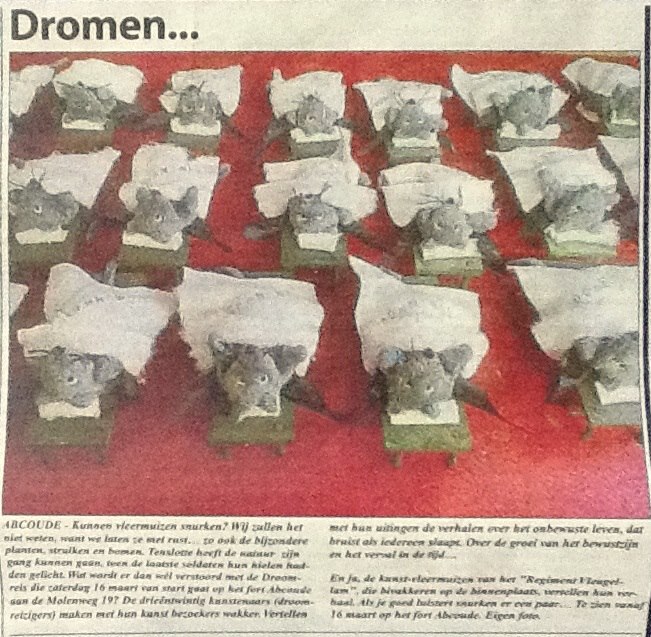 snurk.jpg