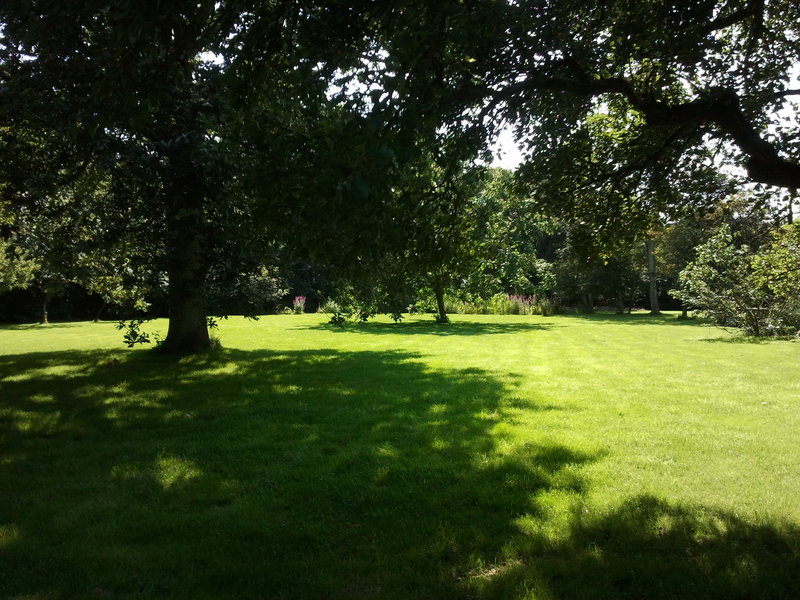 Tuin Biggekerke 2.jpg