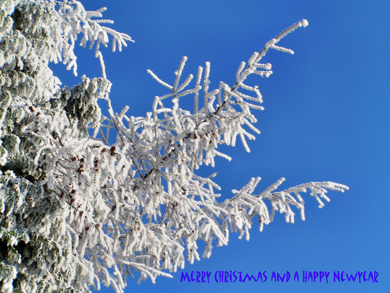 071222-042 - chrm-nwyr.jpg