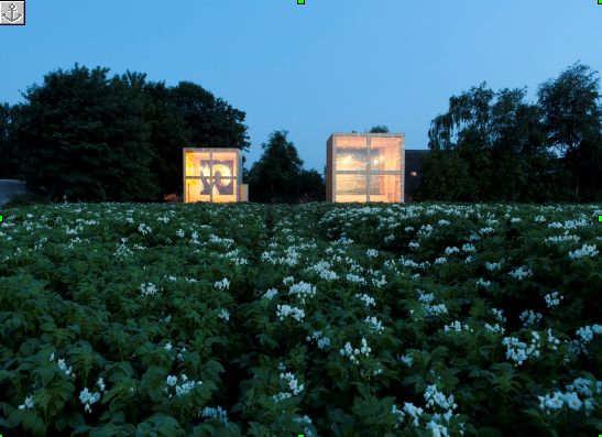 veenkubussen in Zuidwending.jpg