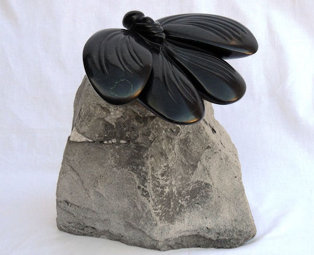 memorial butterfly.jpg