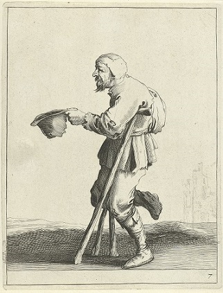 Dode kikker met bromvliegen