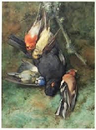 Cornelis Samuel Stortenbeker - vijf dode vogels