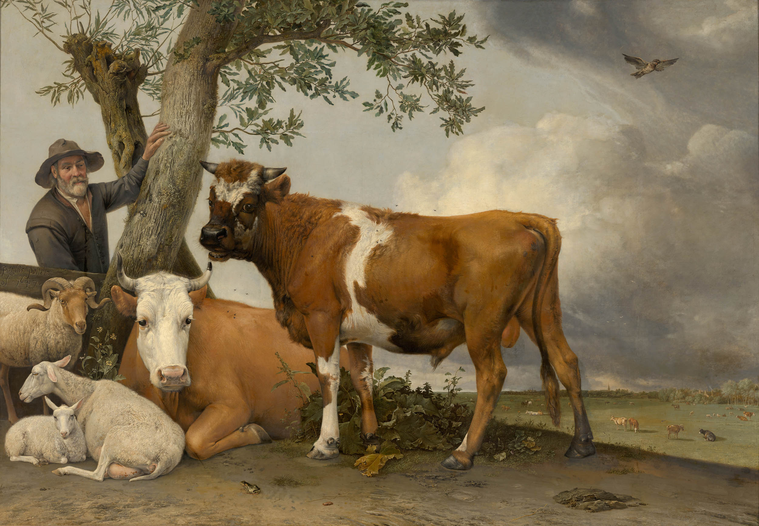 De Stier 1647