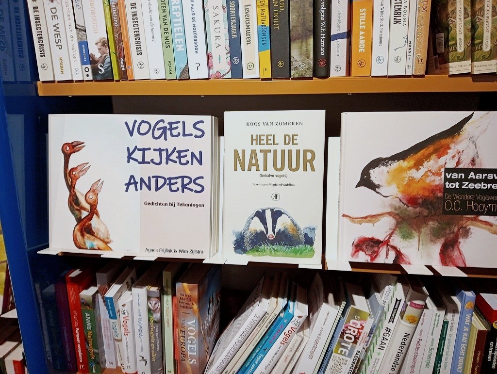 Het boek in de boekhandel