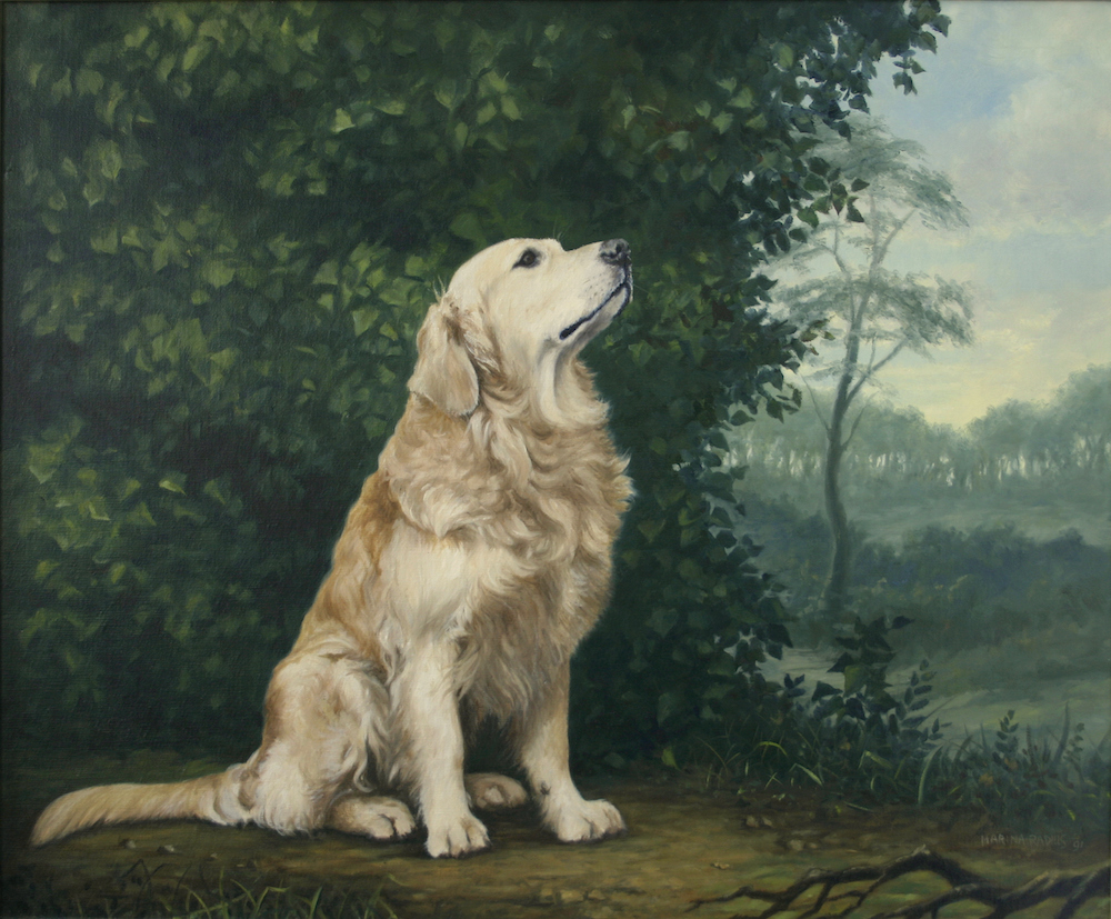 Golden Retriever olieverf 50x60 - Marina Radius