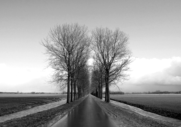  Beemster landschap in perspectief