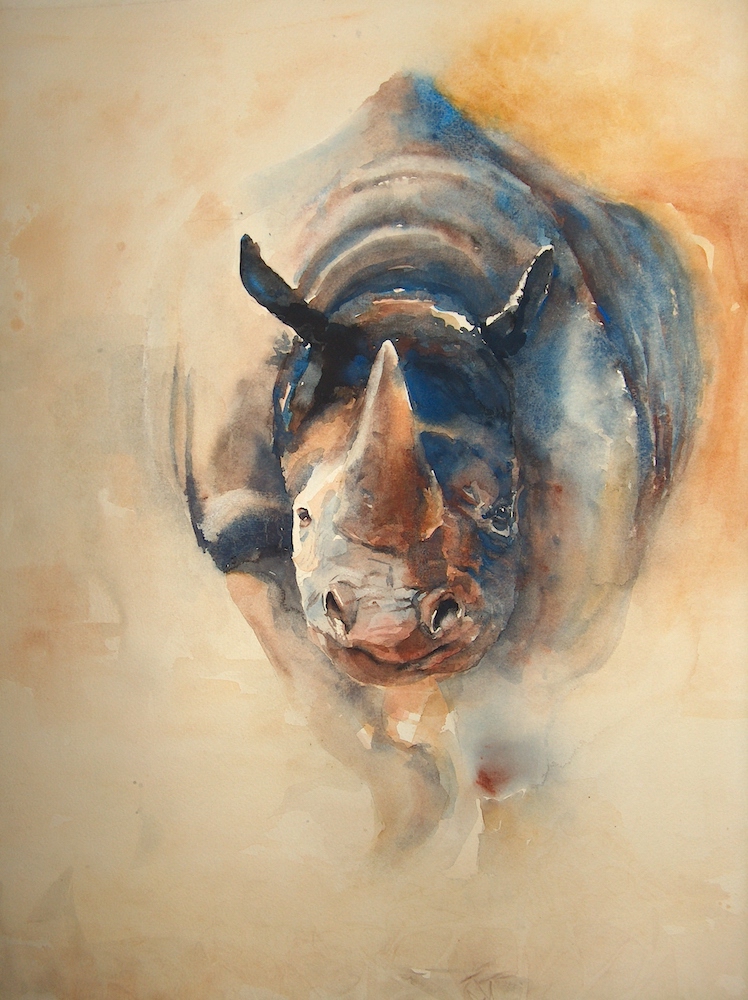 Neushoorn (2005), aquarel 50x60 cm
