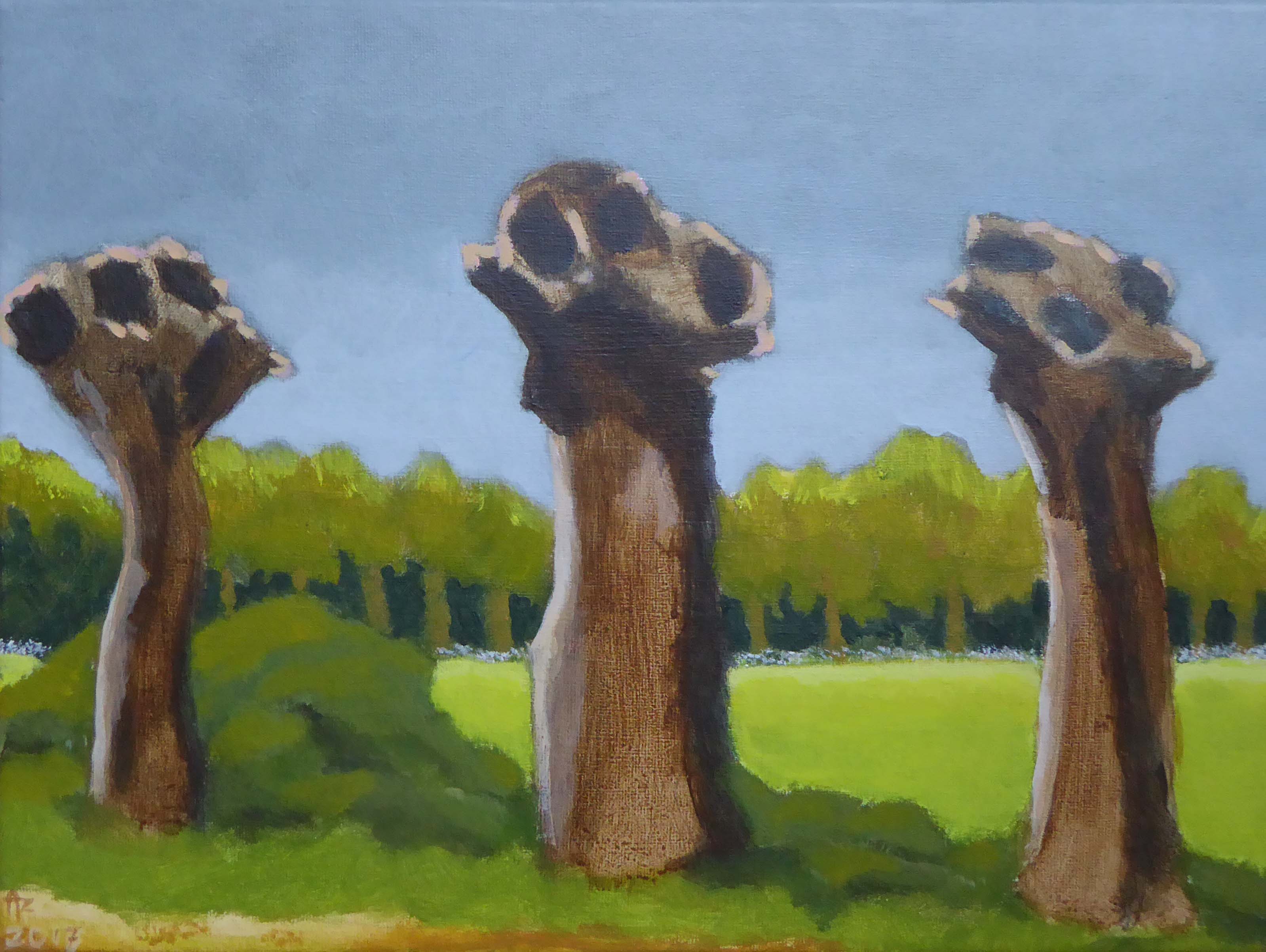 Oude knotwilgen, 2017, acryl op doek, 30 x 40 cm - Anneke Zwager