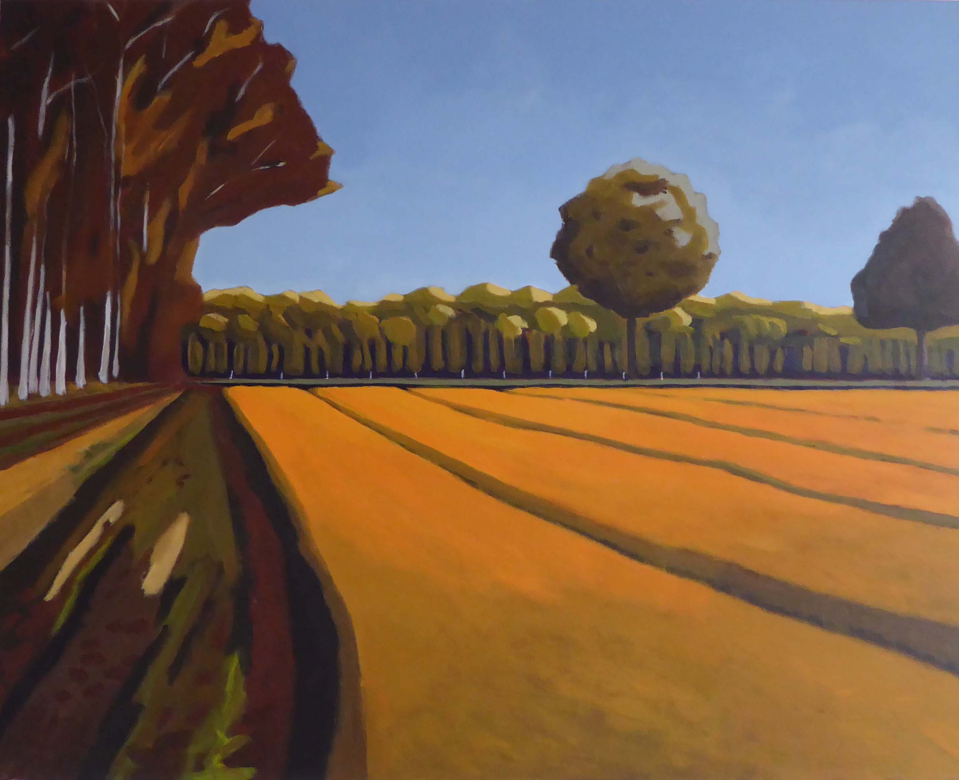 Lelieveld, 2017, acryl op doek, 80 x 100 cm - Anneke Zwager