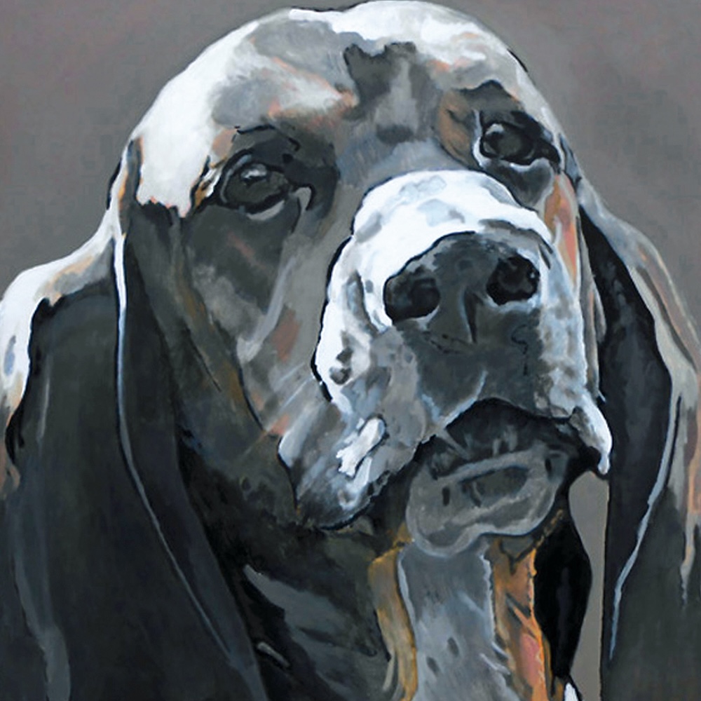 D511 Basset - Connie van Winssen