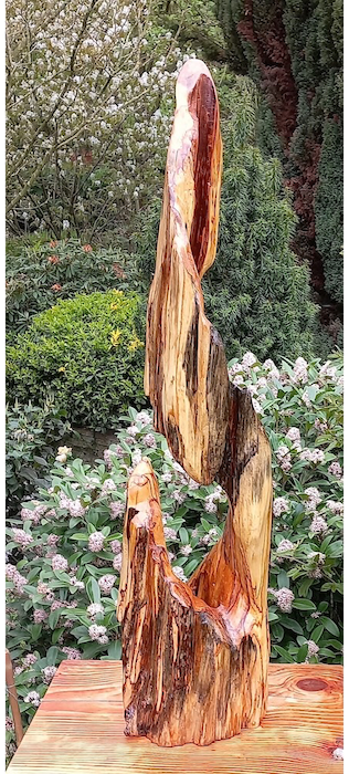 Berkenmove - Dolf Bierhuizen