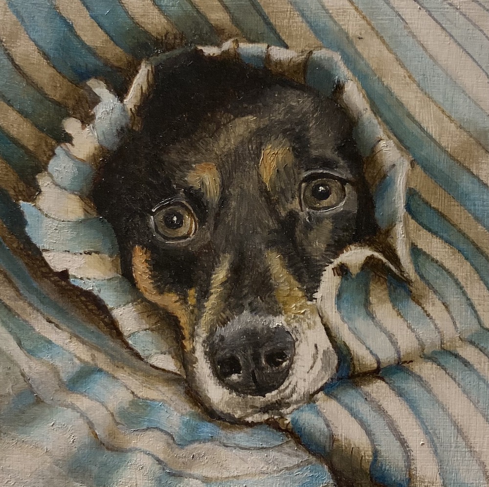 Stoute Loesje - Erik van Grinsven