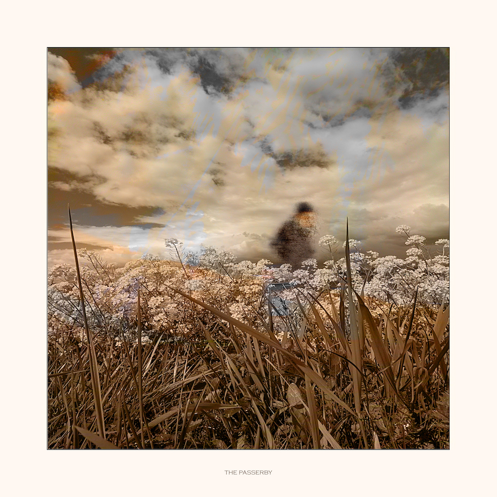 The passerby - Han Overgaauw