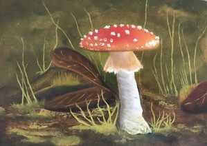 Vliegenzwam Paddenstoel in bos - Hans Pekelharing