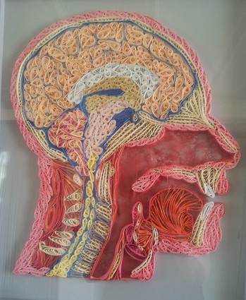 2016 - Chiari en syrinx - Intuition Paper Art