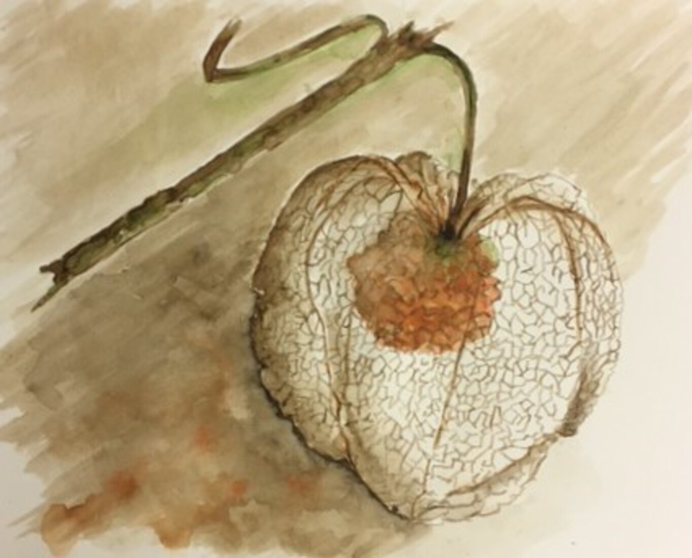 Droog maar met toekomst - Isabel van Bijnen