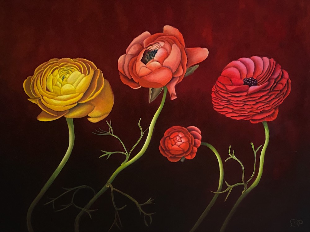 Dansende ranonkels - Lianne van der Plaat