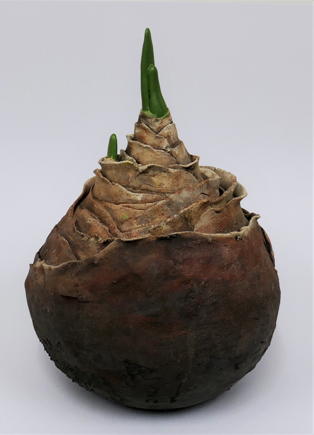 Bloembol - Margriet Blom