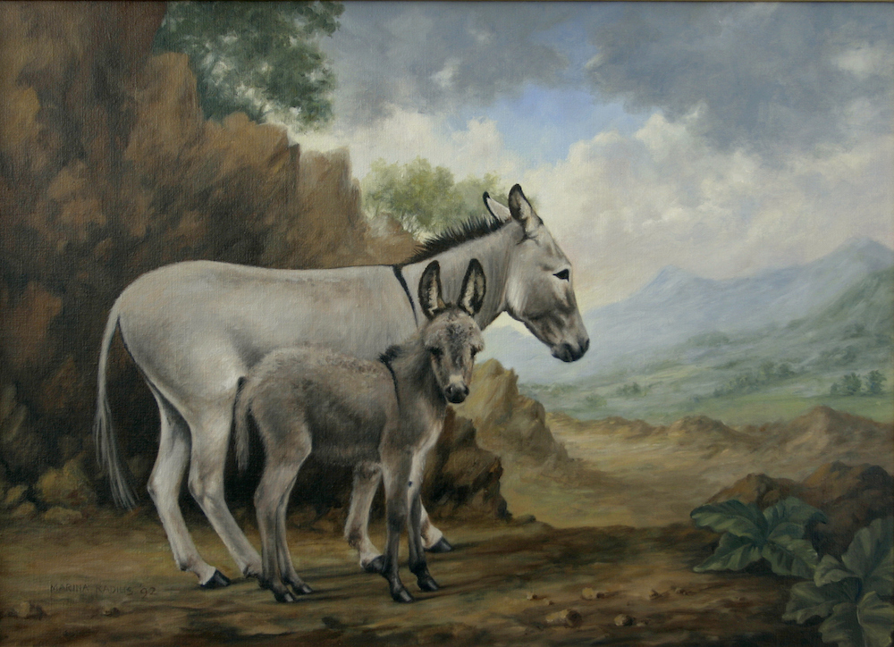 Ezeltjes - Marina Radius