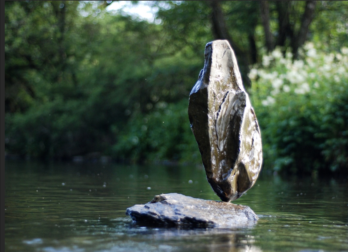 The owl - Martijn Ferwerda