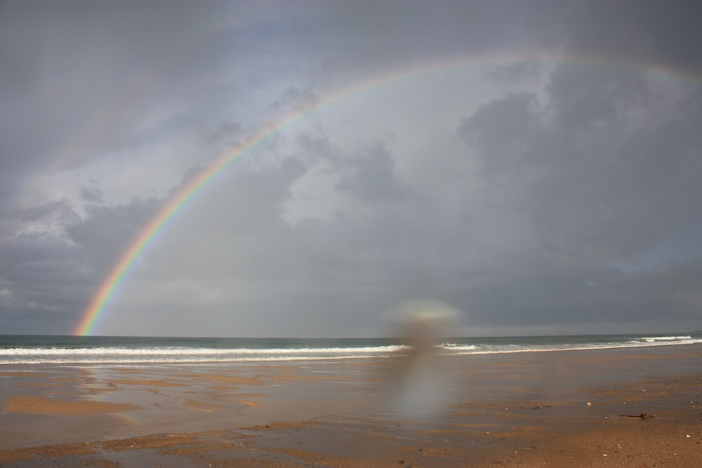 Wervelend - Sandra Willard