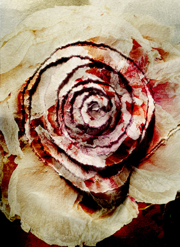 Impermanence - Van Lieshout VI