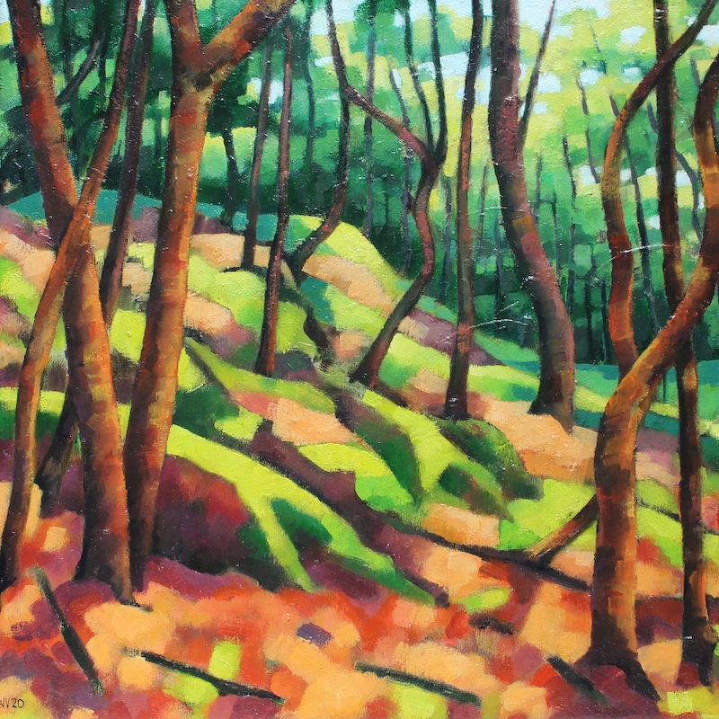 Bos in de Ardèche - Willem Visser