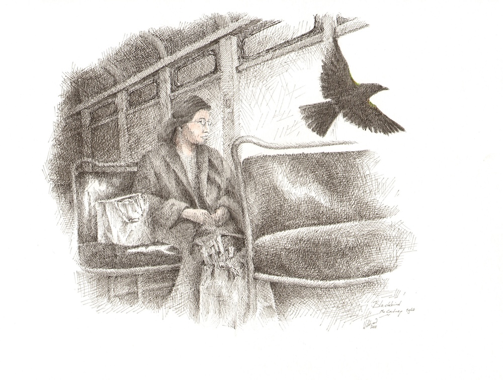 Blackbird - Willibrord Baar