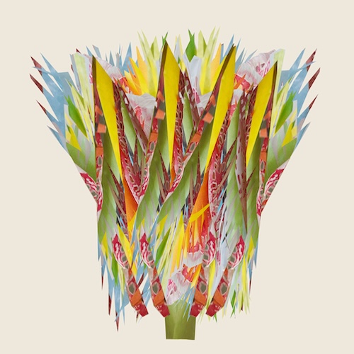 Chinese tulp - Yvonne Alting